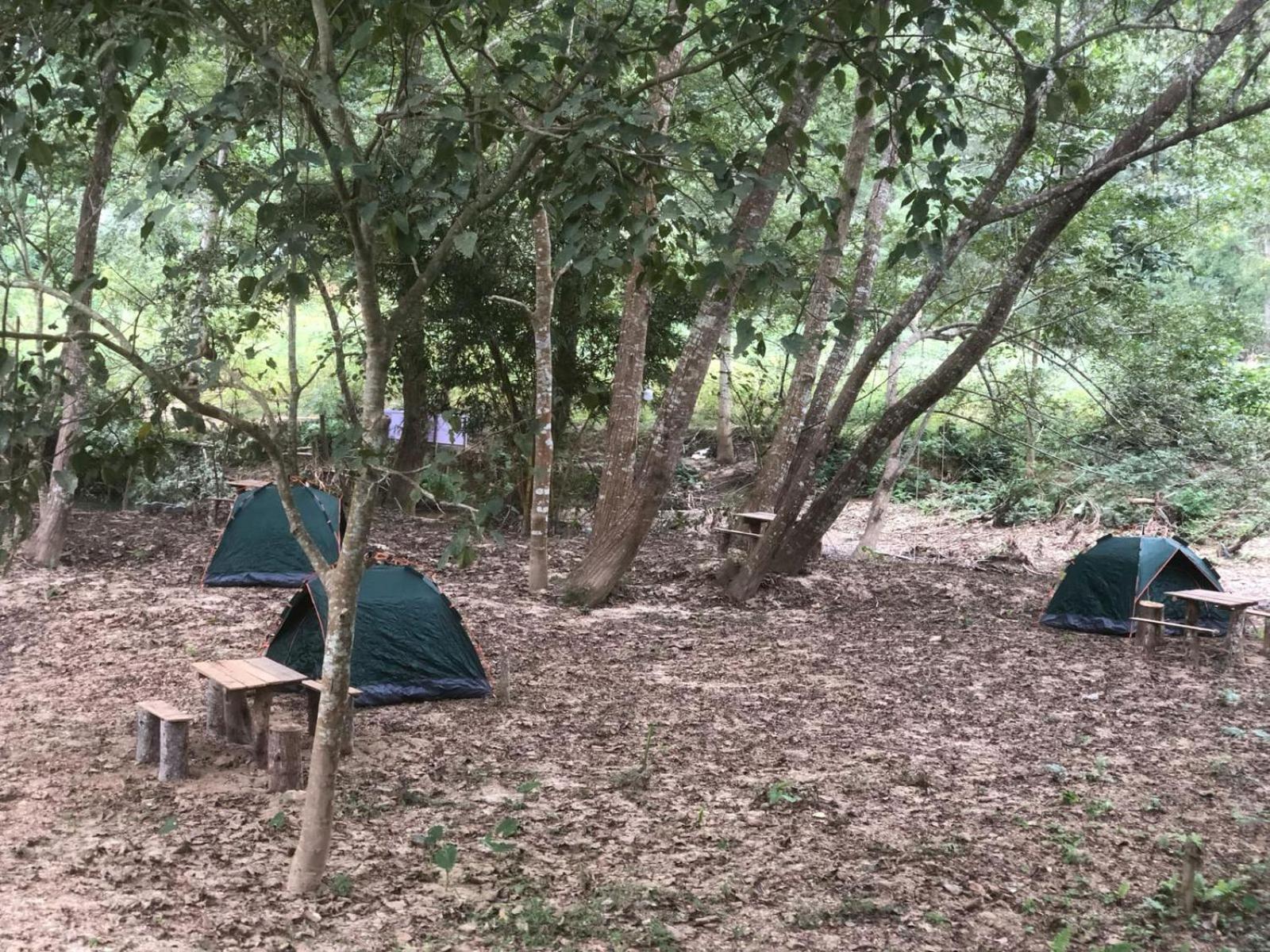 Mingkhuan Eco Homestay Nong Khiaw Екстер'єр фото
